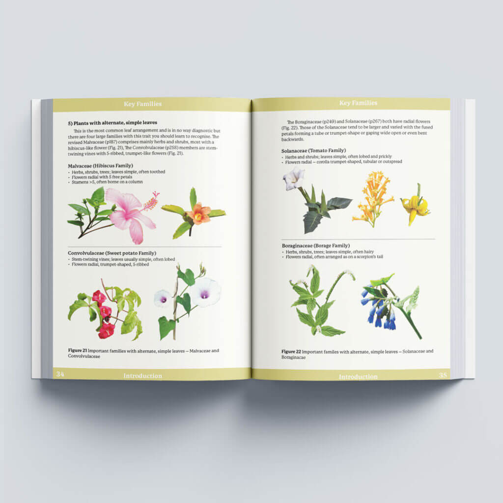 Wild Plants of Barbados Shop Barbados Books