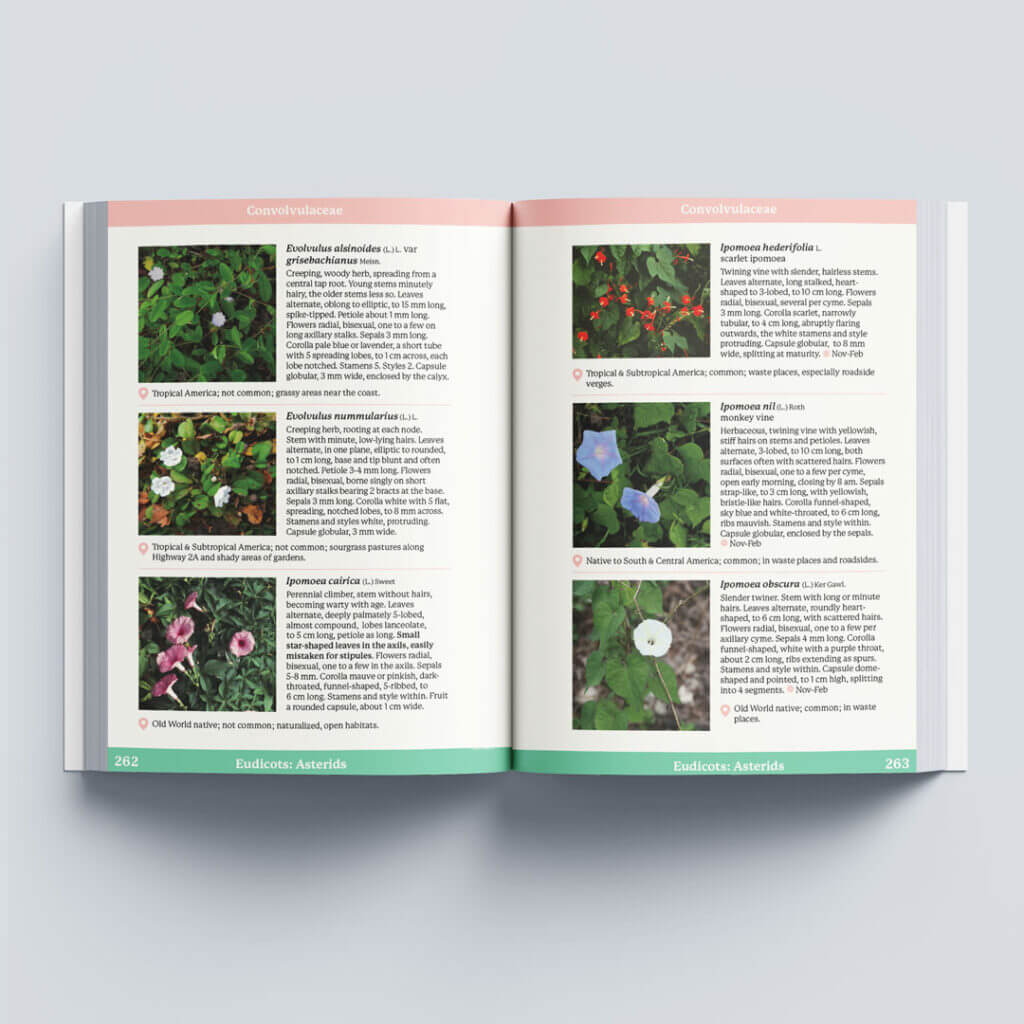 Wild Plants of Barbados Shop Barbados Books